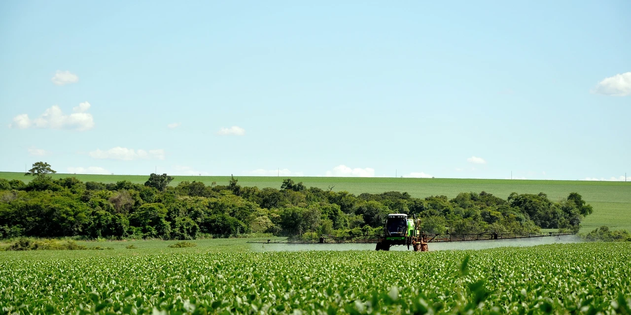 TJ mantém resolução que define limites de segurança para aplicação de agrotóxicos no Paraná