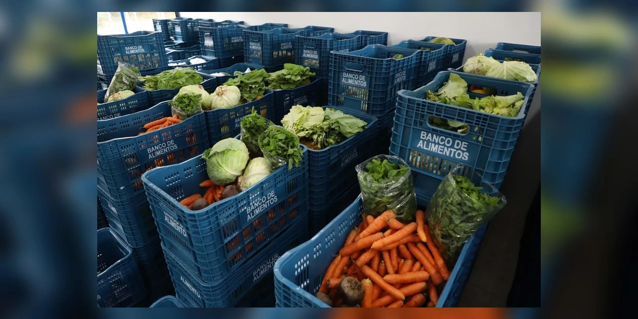 Ceasa Paraná realiza concurso público para modernizar quadro funcional