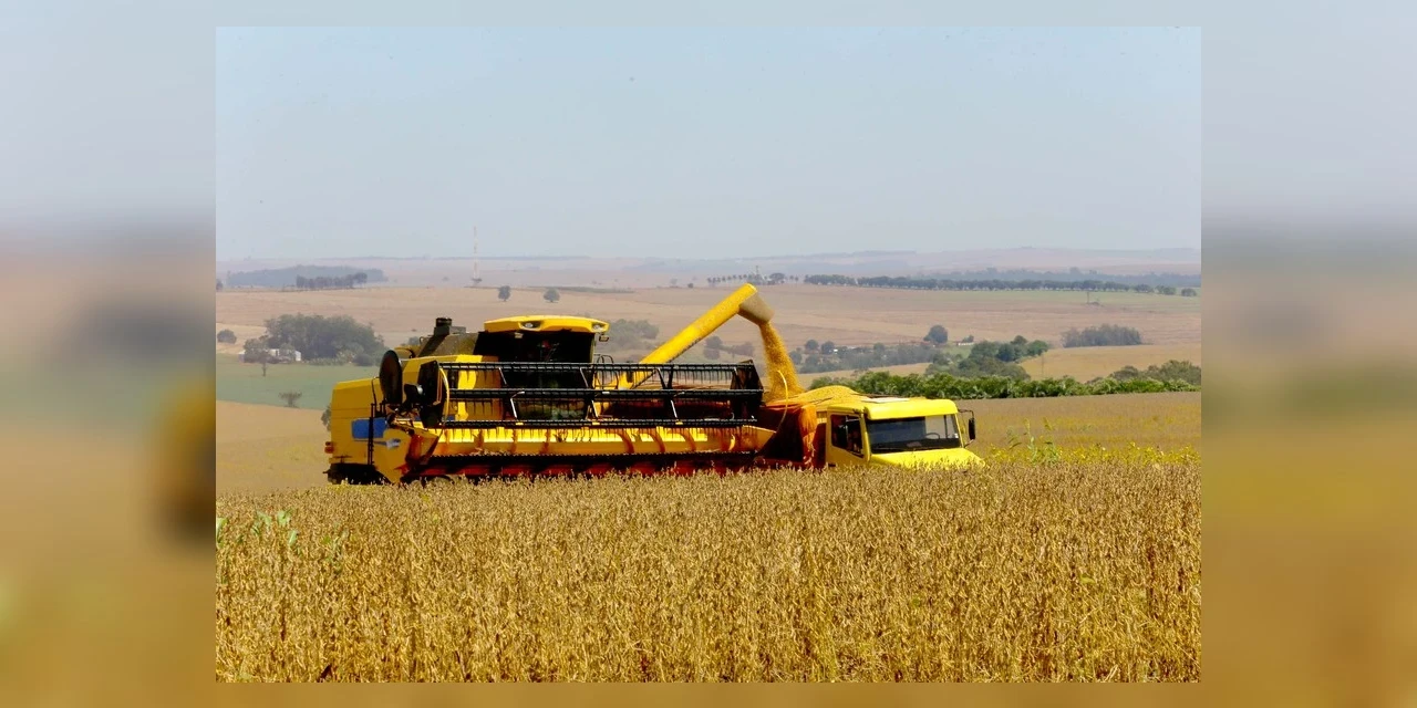 Produção de soja no Paraná deve crescer 6% na safra 2021/22