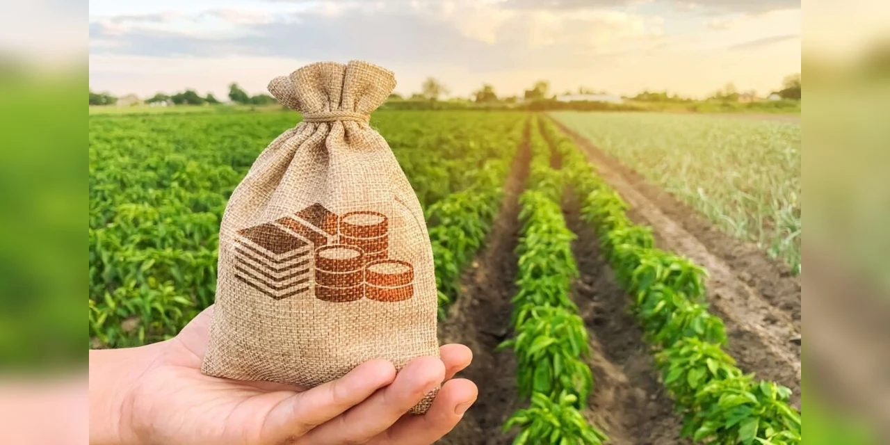 Exportações do agro atingiram valor recorde de U$$ 8,84 bilhões em outubro de 2021