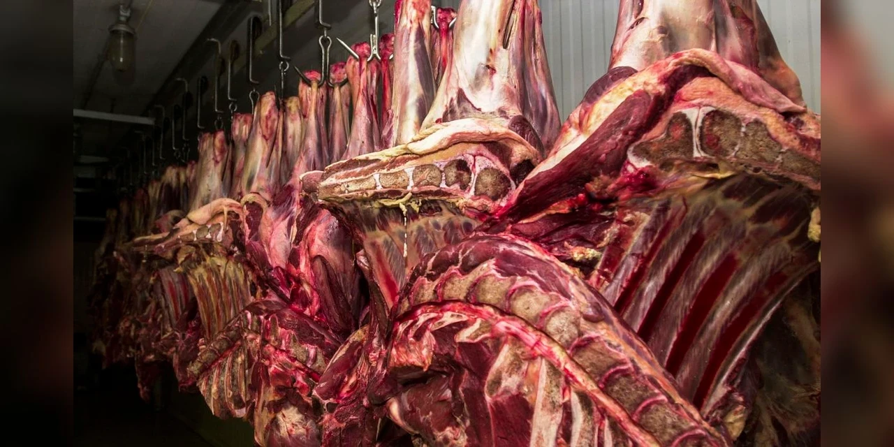 China aceitará carne bovina do Brasil certificada antes de 4 de setembro