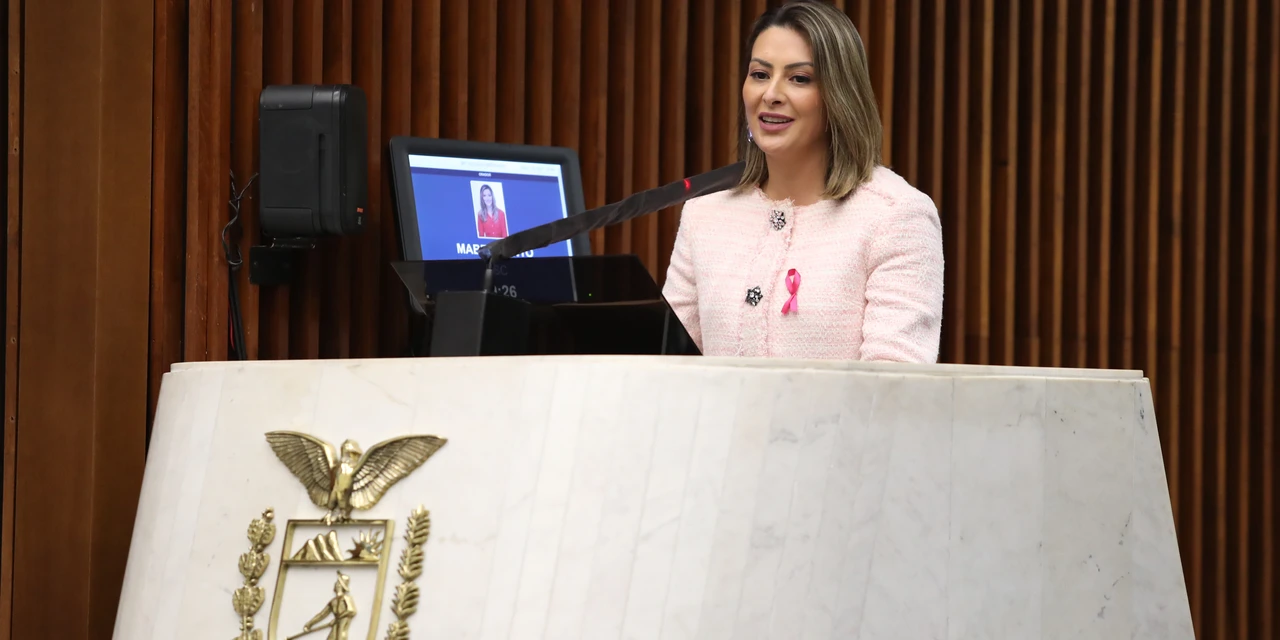 CCJ aprova PL de Mabel Canto que garante a presença de doulas durante o parto em todo o Paraná