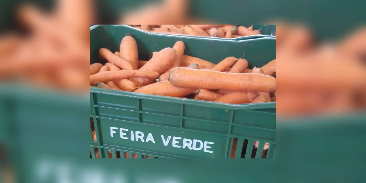 Pesquisa aponta satisfação do munícipe com o programa Feira Verde