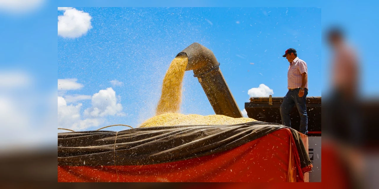 Safra de grãos de verão no Paraná pode chegar a 25 milhões de toneladas