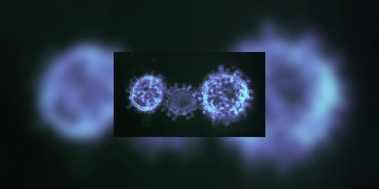 Ômicron: Não há casos da nova variante identificados no Brasil, diz ministério