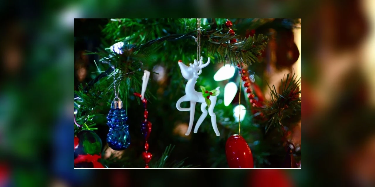Coluna Lettera: ‘A carta de Natal’, por Francielly da Rosa