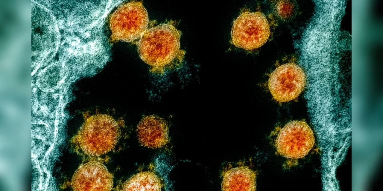 Ômicron: remédio da GSK-Vir funciona contra mutações, diz estudo