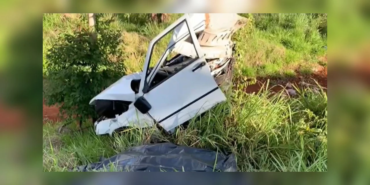 No Paraná, motorista morre na BR-369 após bater em árvore