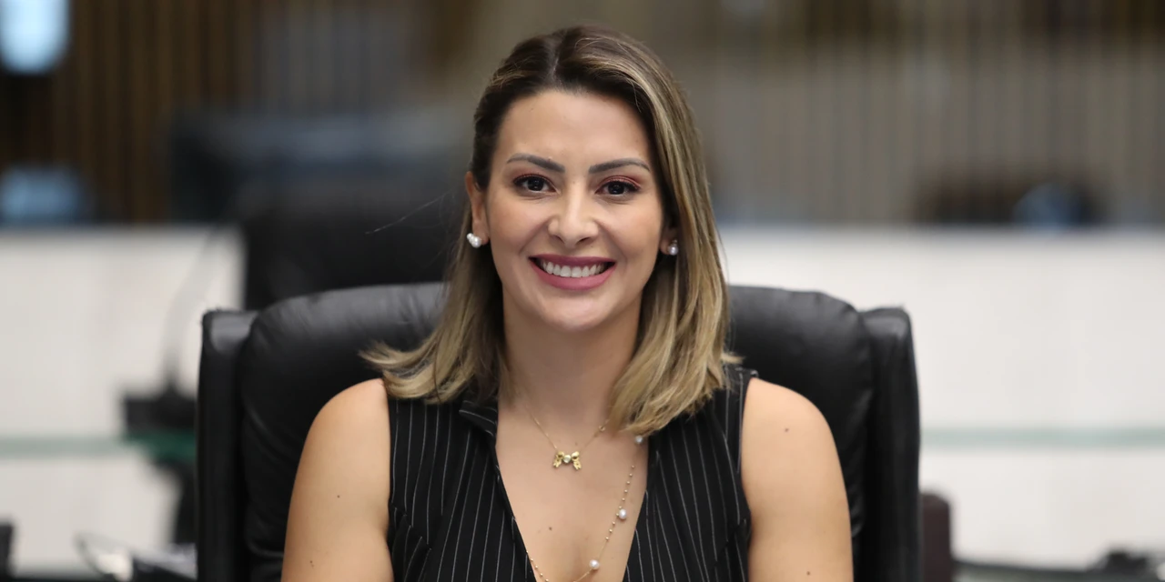Deputados aprovam PL de Mabel Canto que fortalece o combate da violência contra a mulher