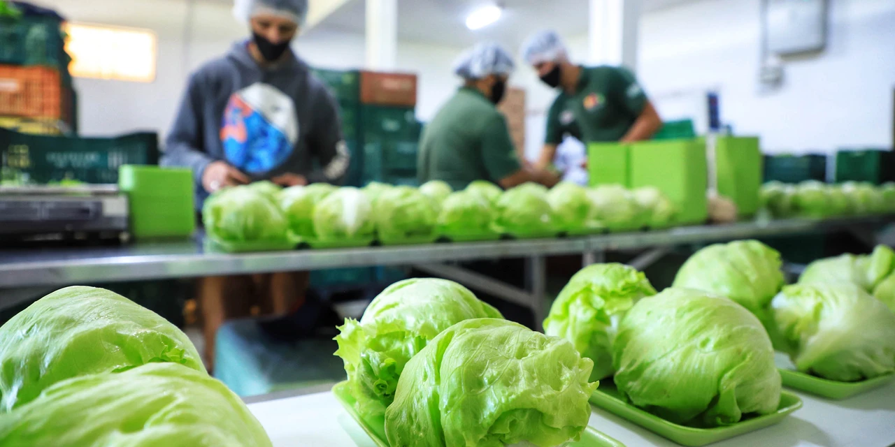 Paraná abre chamada pública de R$ 80 milhões para compras da agricultura familiar