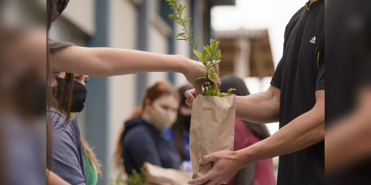 UEPG promove drive-thru para distribuição de mudas