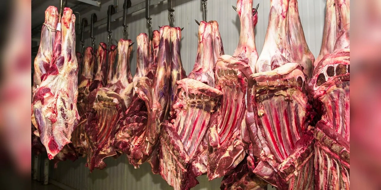 China retoma importação de carne bovina brasileira