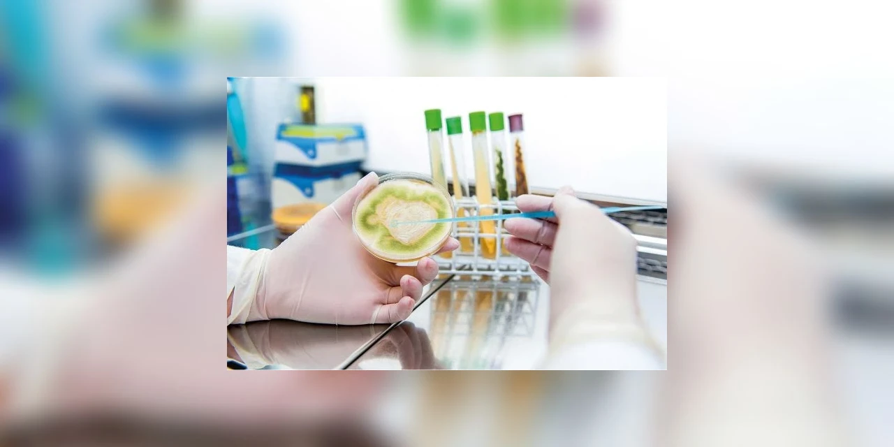 Projeto de Lei busca regulamentar a produção de bioinsumos no Brasil