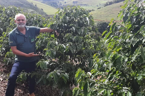 D'P Agro: TSM - Engenheiro agrônomo conta como a Agricultura Ecológica está transformando lavouras pelo Brasil