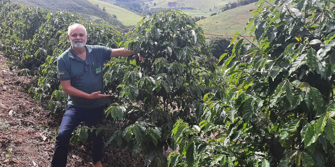 D'P Agro: TSM - Engenheiro agrônomo conta como a Agricultura Ecológica está transformando lavouras pelo Brasil