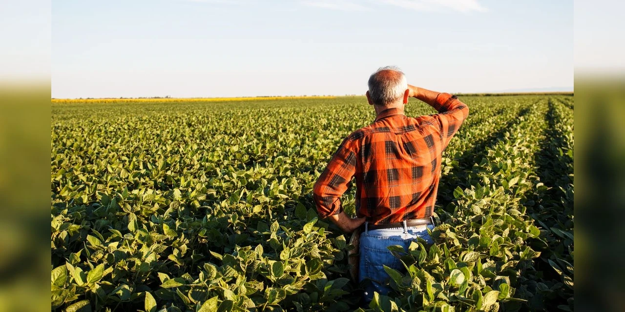 Produtor rural poderá regularizar cadastro ambiental pela internet