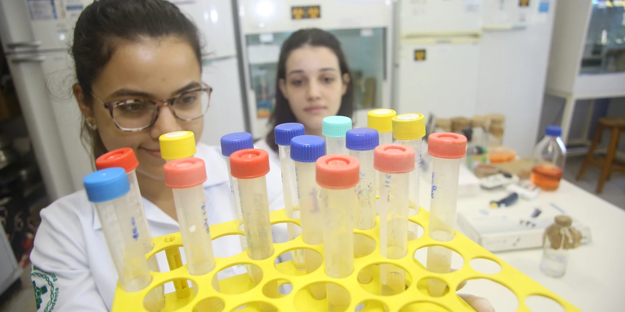 Universidade estaduais do Paraná são destaques em rankings nacionais e internacionais