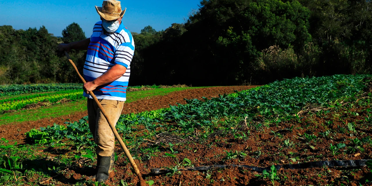 Programas garantem produção paranaense, qualidade dos alimentos e melhorias no transporte