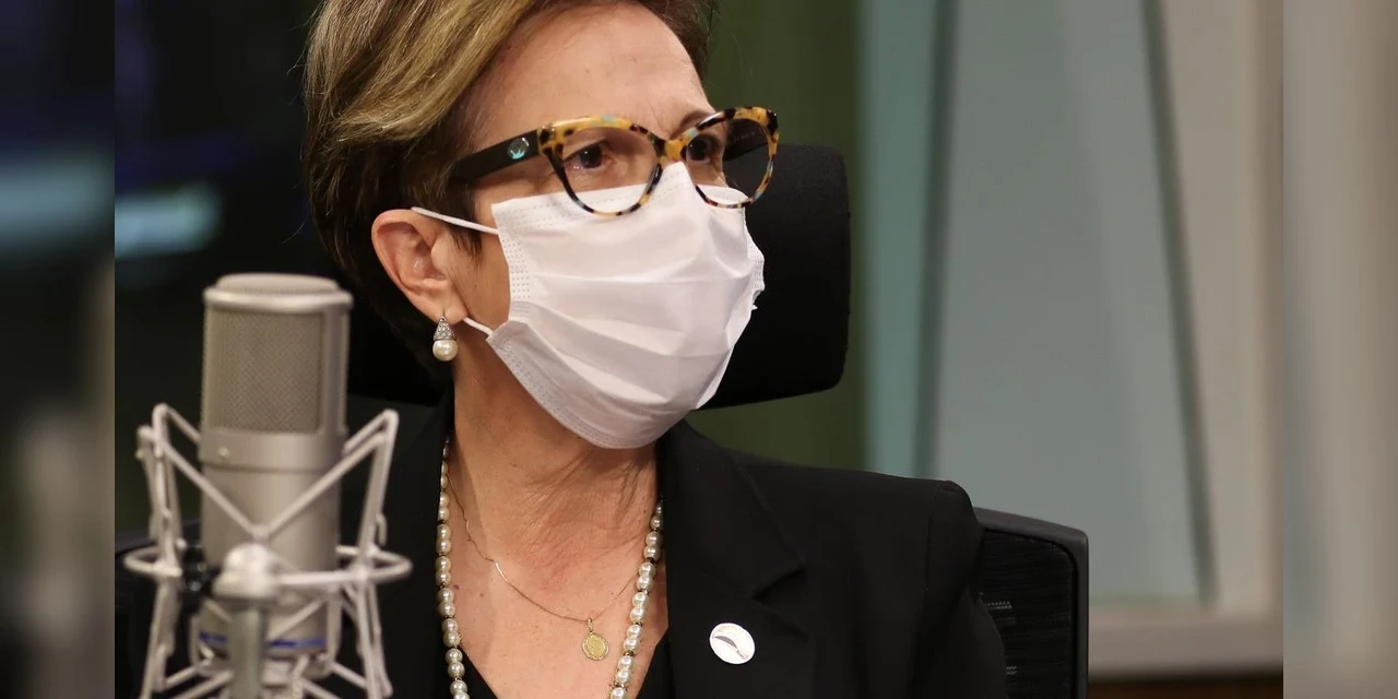 Safra de grãos 2021/2022 tem expectativa recorde, diz ministra