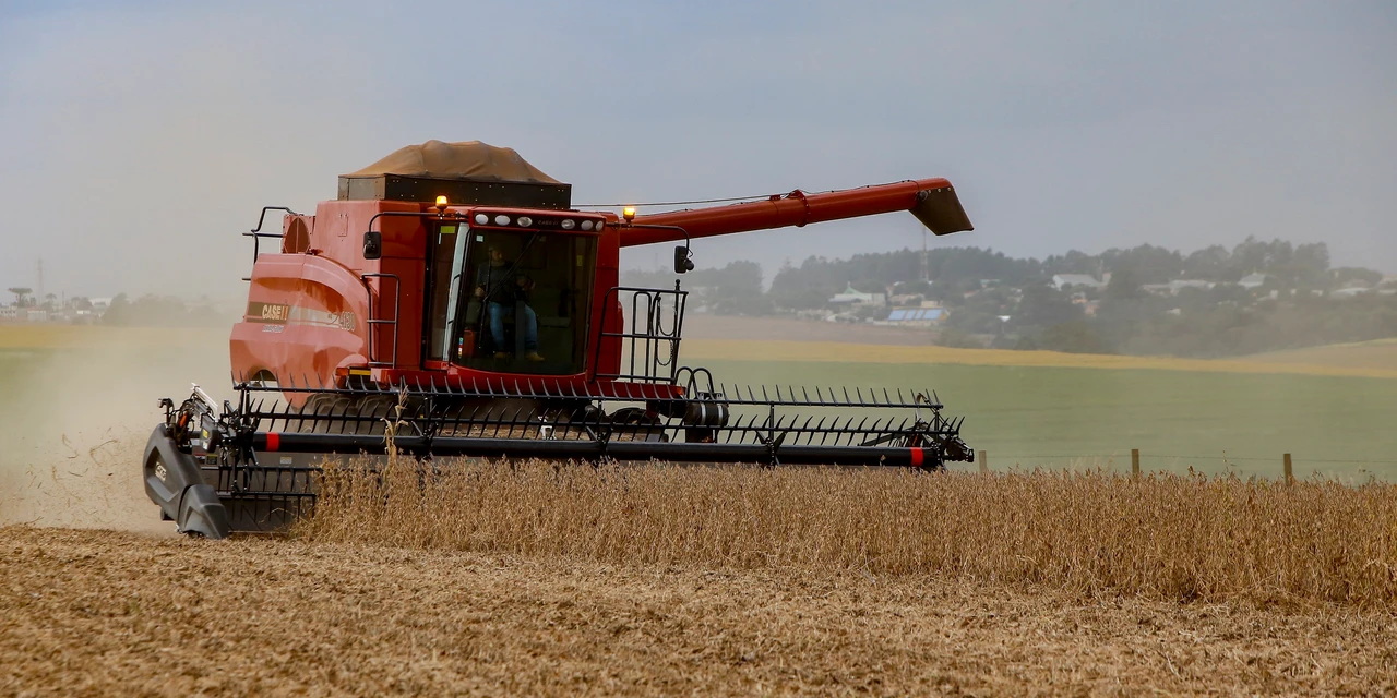 Agricultura paranaense estima redução nas safras de soja, milho e feijão por conta da estiagem