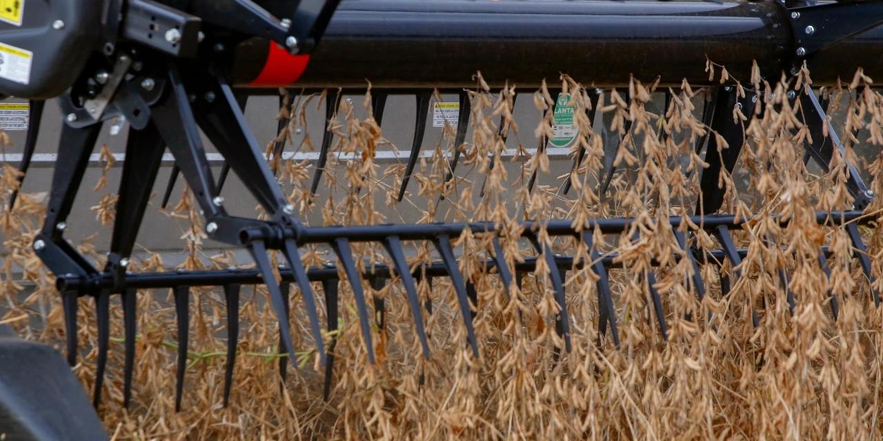 Quatro municípios paranaenses estão entre os mais ricos do agronegócio brasileiro
