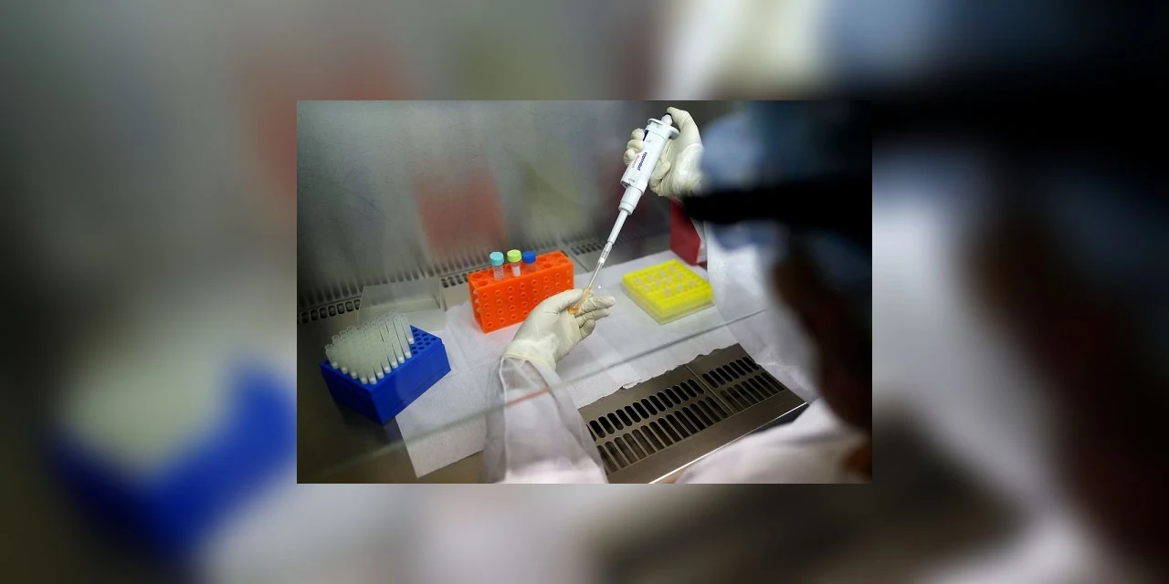 Novo surto de superfungo é identificado em hospital de Recife