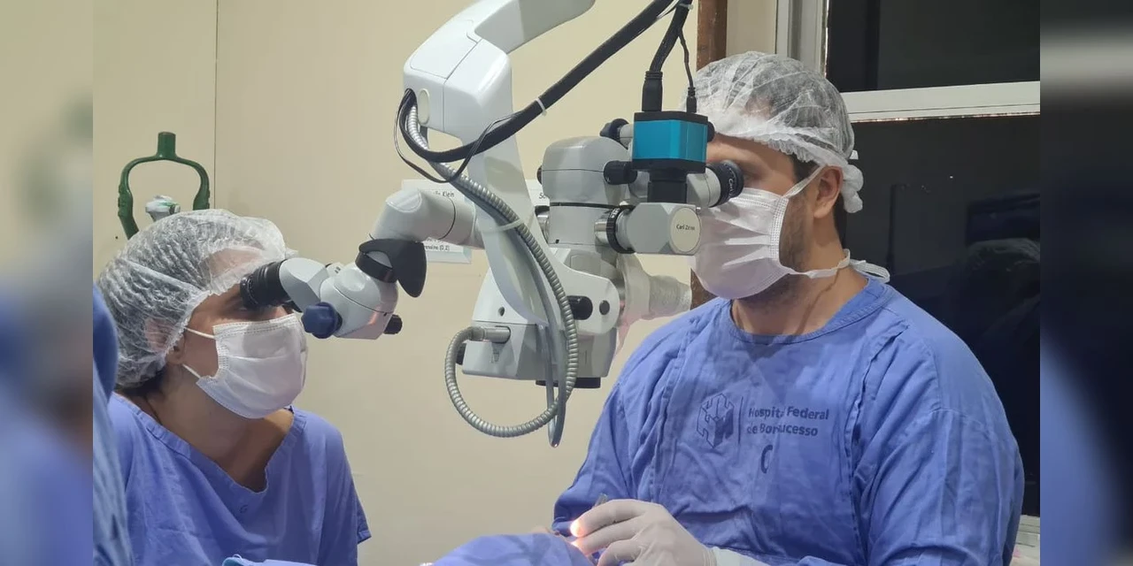 Número de transplantes de órgãos cai em 2021