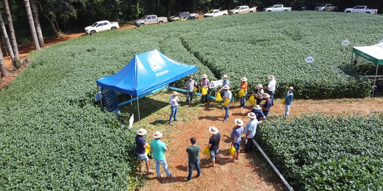 Coopagrícola reúne agricultores em dia de campo