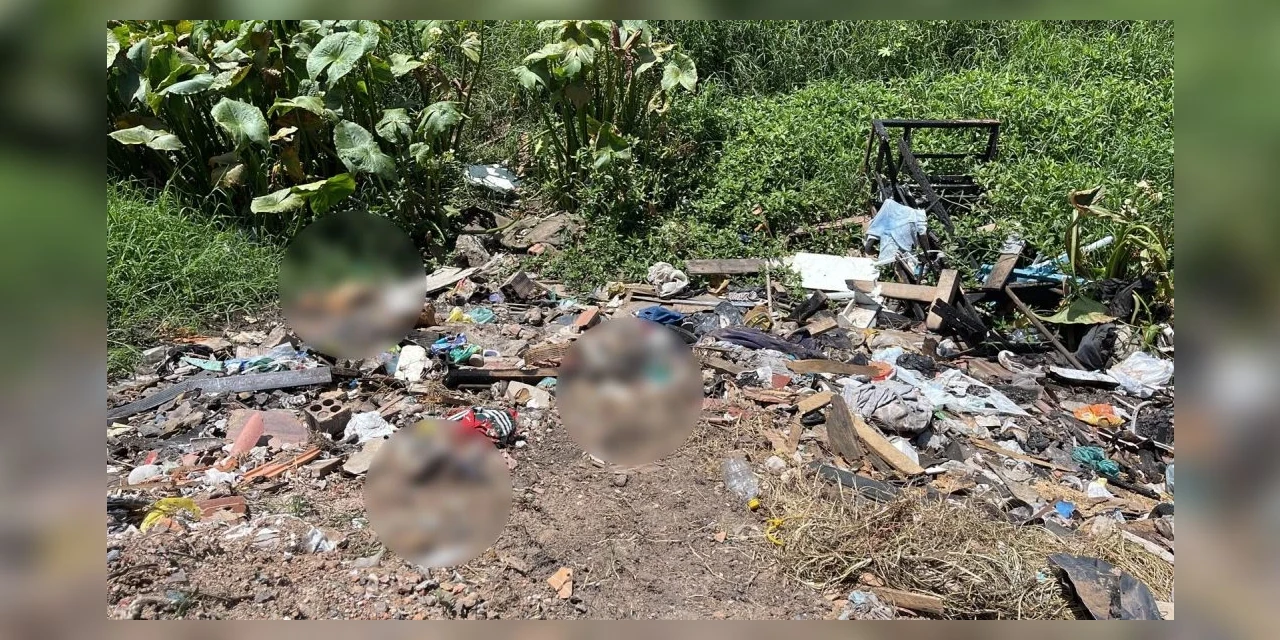 No Paraná, homem é preso após incendiar barracão e matar filhotes de cachorro