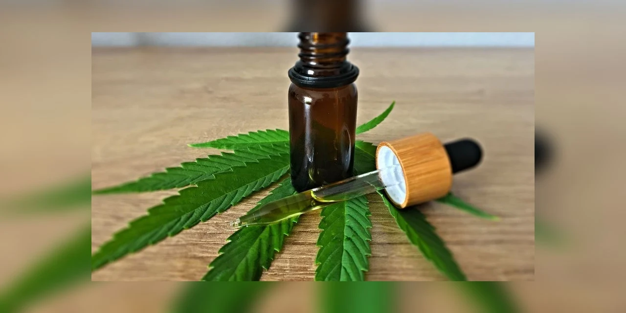 Anvisa aprova três produtos a base de cannabis