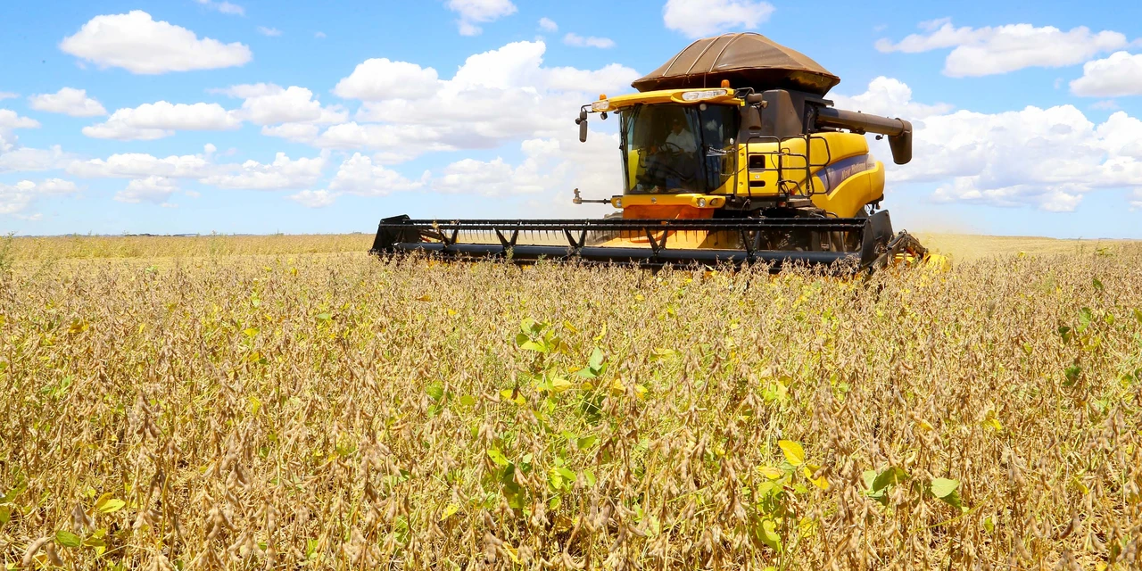 Paraná deve produzir 14,74 milhões de toneladas de grãos na safra de verão