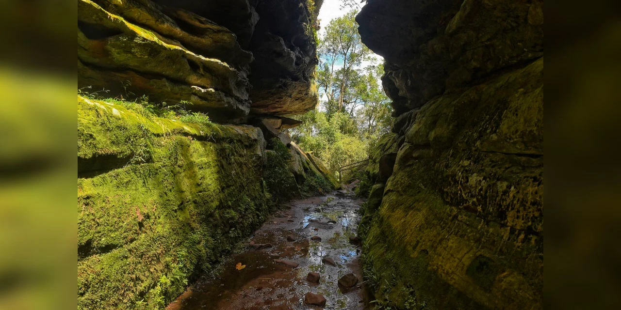 Concessão do Parque Estadual do Guartelá tem nova consulta pública