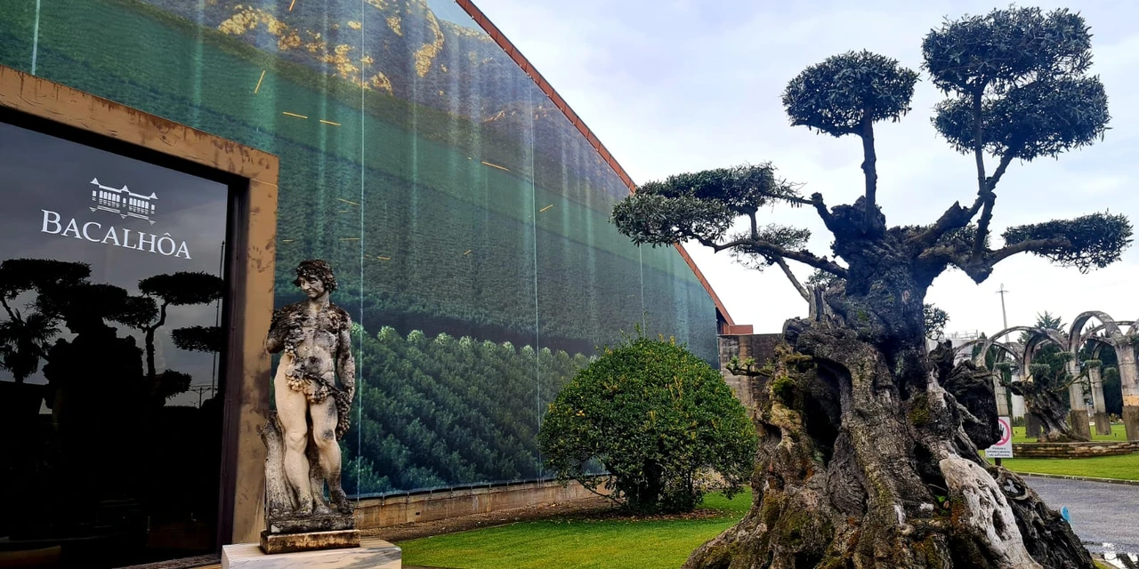 Vinhos & Viagens: 'Viaje pelos sabores dos doces e vinhos de Setúbal, em Portugal', por Patrícia Ecave