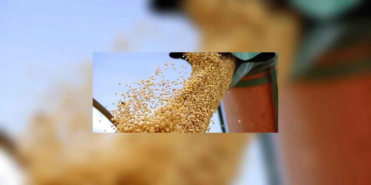 Associação diz que Brasil tem estoque de fertilizantes para apenas três meses