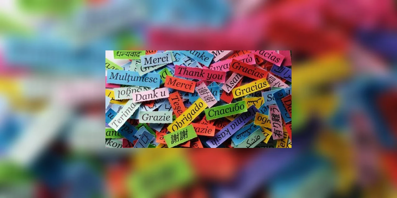 Coluna Draft: 'Nós agradecemos: “OBRIGADOS!”', por Edgar Talevi