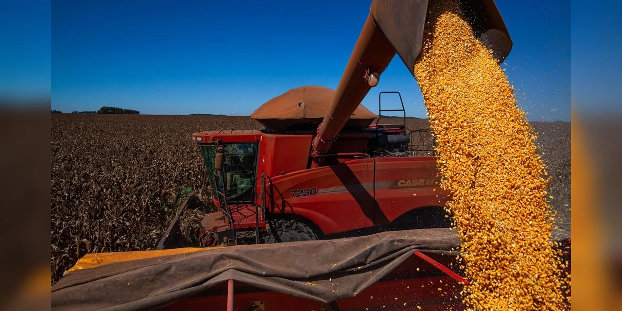 Conab estima safra de grãos de 265,7 milhões de toneladas