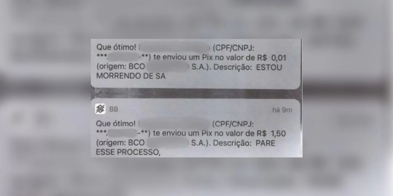 Bloqueado nas redes sociais, idoso envia dezenas de PIX com recados para ex e acaba preso