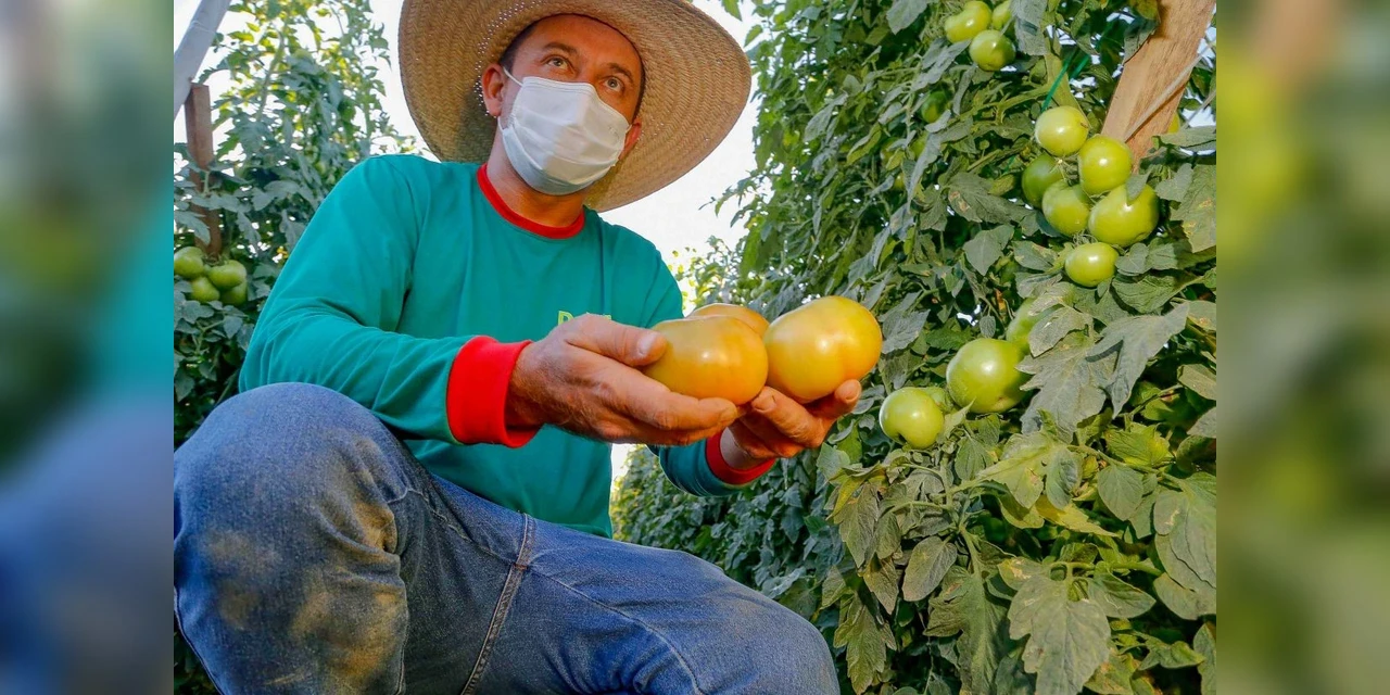 Cesta básica fica 15% mais cara em um ano, aponta pesquisa da UEPG
