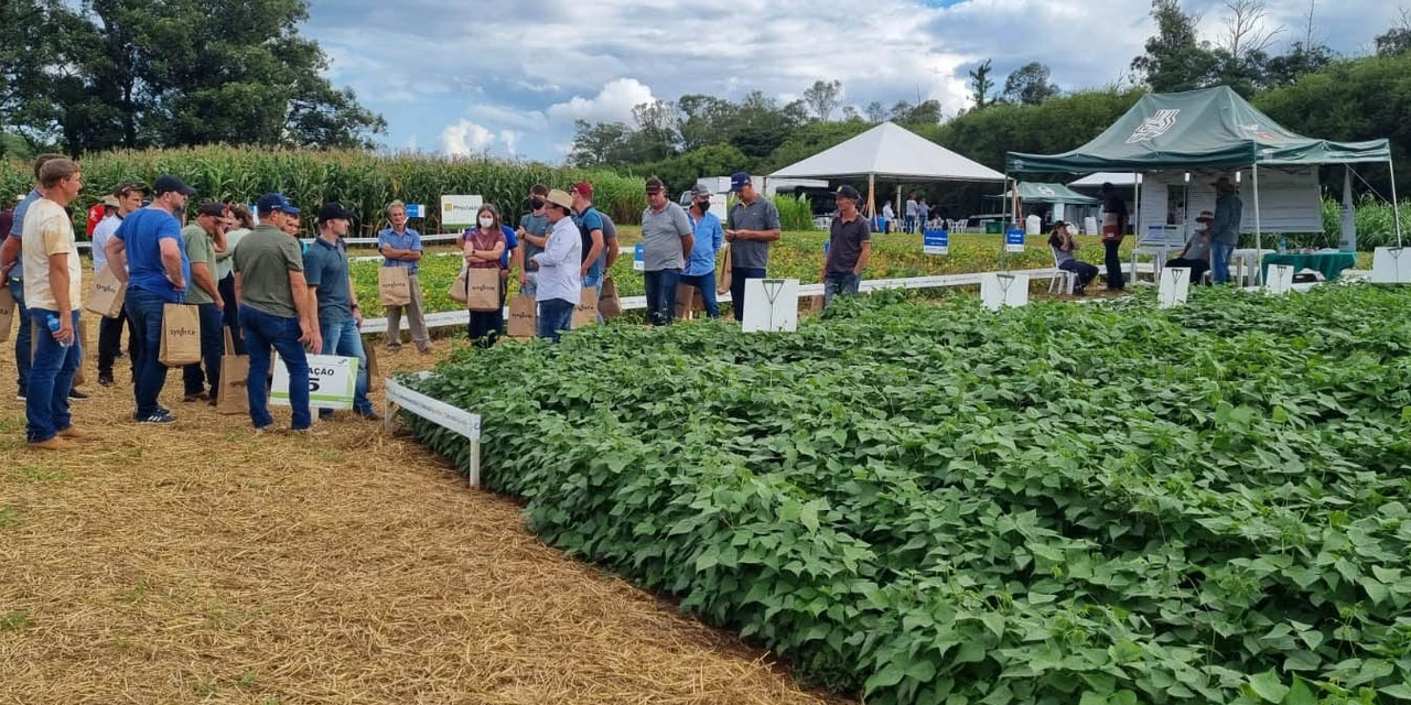 IDR-Paraná apresenta alternativas para cultivo de feijão e milho mais sustentável e lucrativo