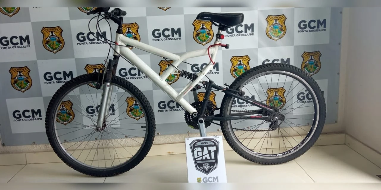 Dupla é detida após furtar bicicletas em PG