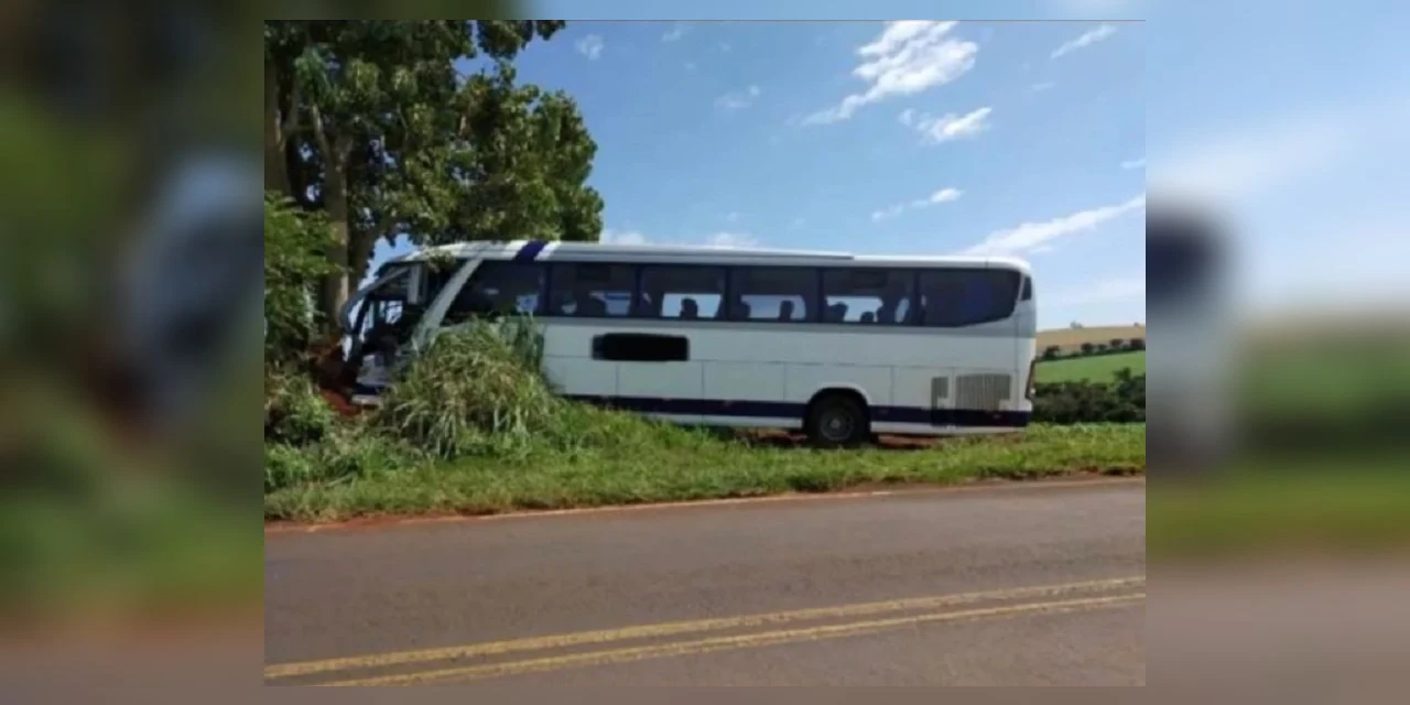 No Paraná, ônibus bate contra árvore e quatro pessoas ficam feridas