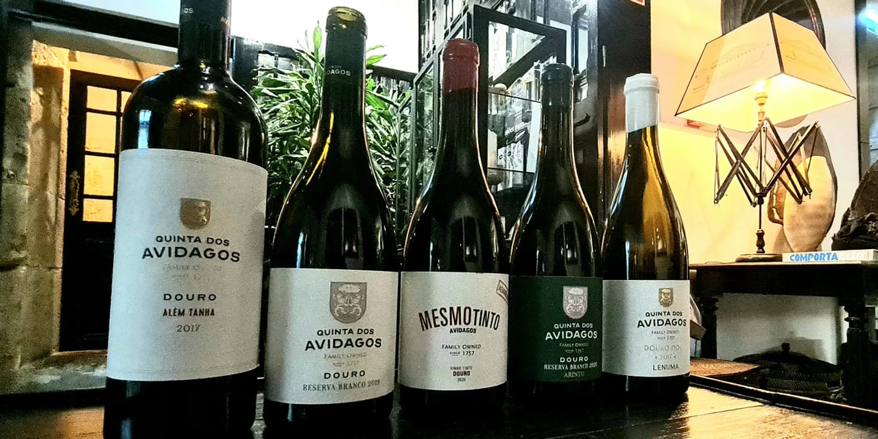 Vinhos & Viagens: 'Vinha, vinho e história - Avidagos Wine se prepara para estrear no Brasil', por Patrícia Ecave
