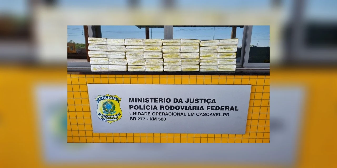 PRF apreende maconha, anabolizantes e medicamentos abortivos no Paraná