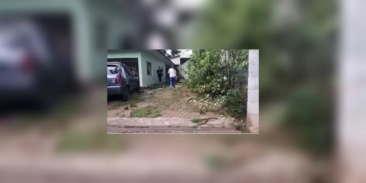 Homem morre ao ser atingido por galho durante temporal no Paraná