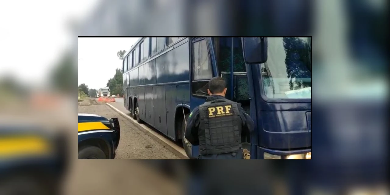 No Paraná, PRF apreende mais de 1.200 garrafas de vinhos em ônibus