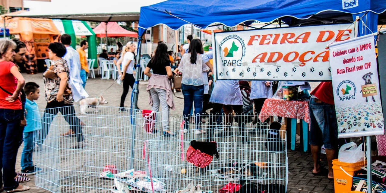 Lago de Olarias recebe feira de adoção de cães e gatos neste fim de semana