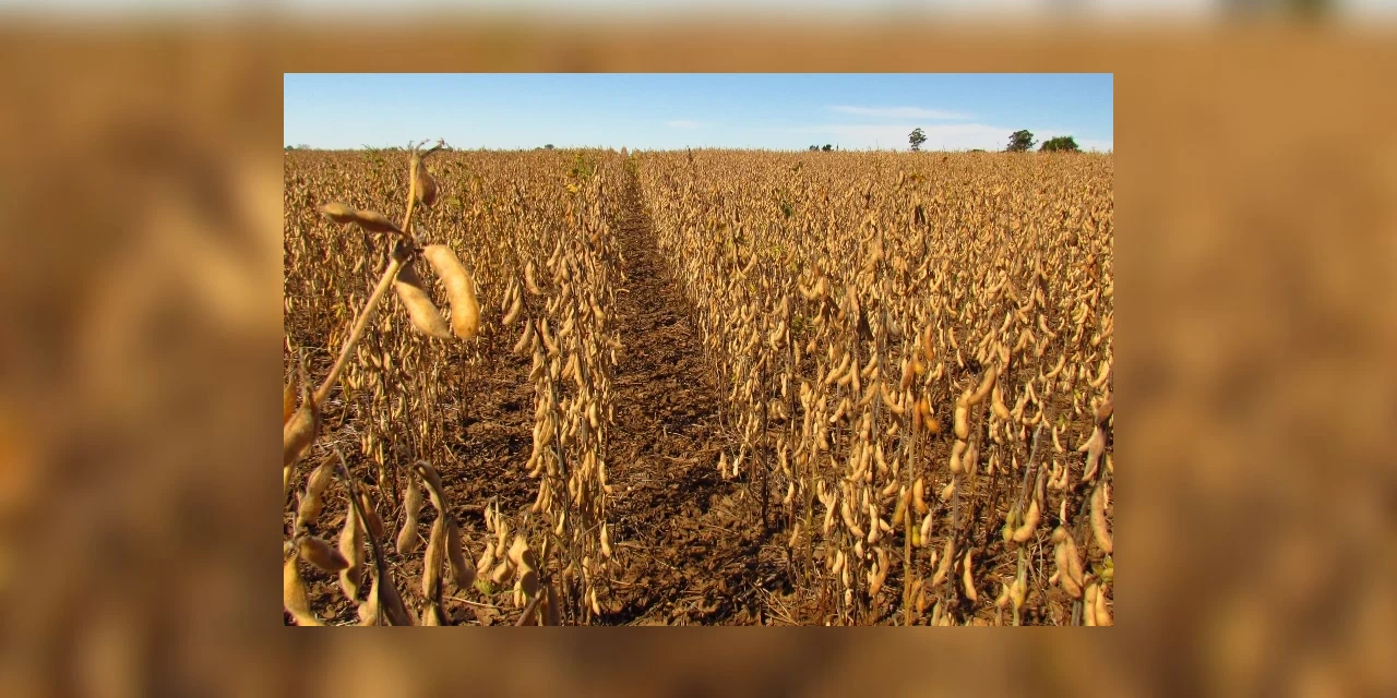 Produtores atingidos pela seca terão desconto de até 35,2%