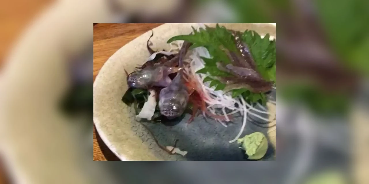 Vídeo: Tá vivo? Peixe morde hashi em restaurante japonês