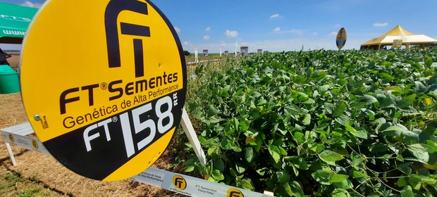 D'P Agro: FT Sementes apresenta cinco novas cultivares de soja que prometem elevar os patamares de produtividade da região