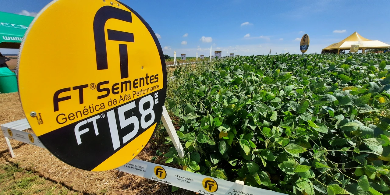 D'P Agro: FT Sementes apresenta cinco novas cultivares de soja que prometem elevar os patamares de produtividade da região